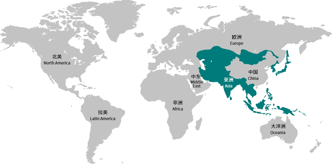 永利集团304am登录(中国游)官方网站